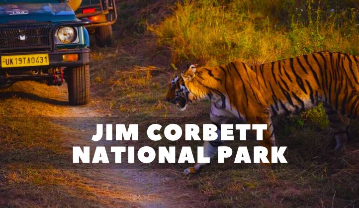 Jim Corbett