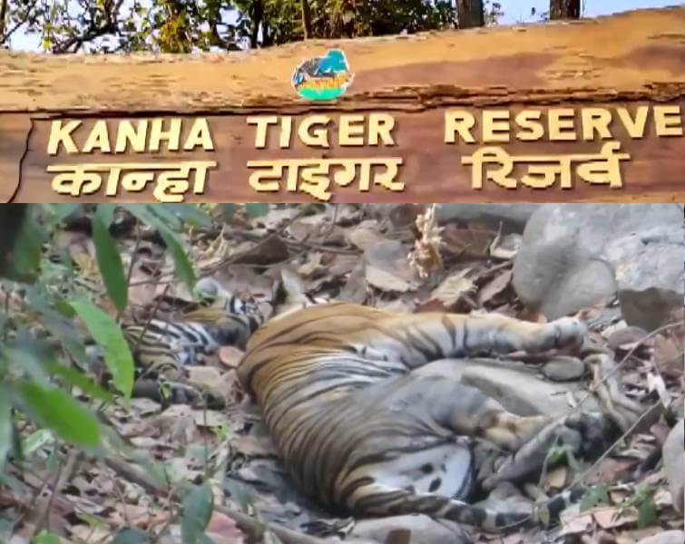 Kanha National Park