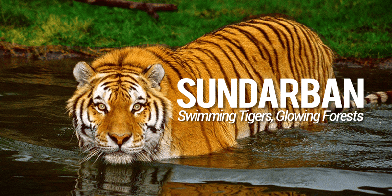 Sundarbans National Park