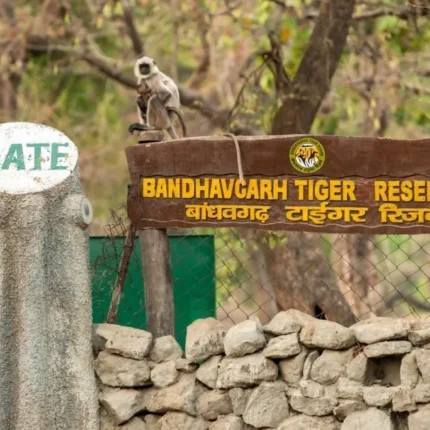 bandhavgarh-national-park-gate