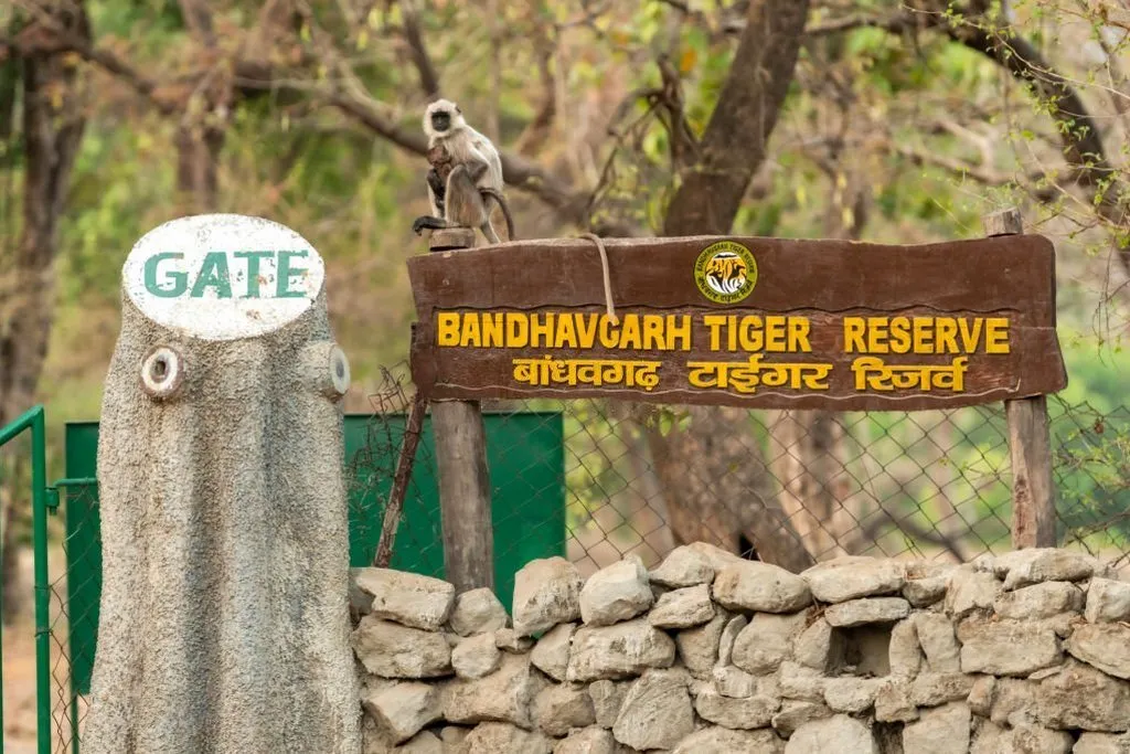 Bandhavgarh National Park